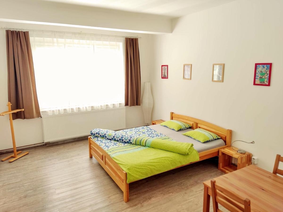 Zizkov Apartmán *