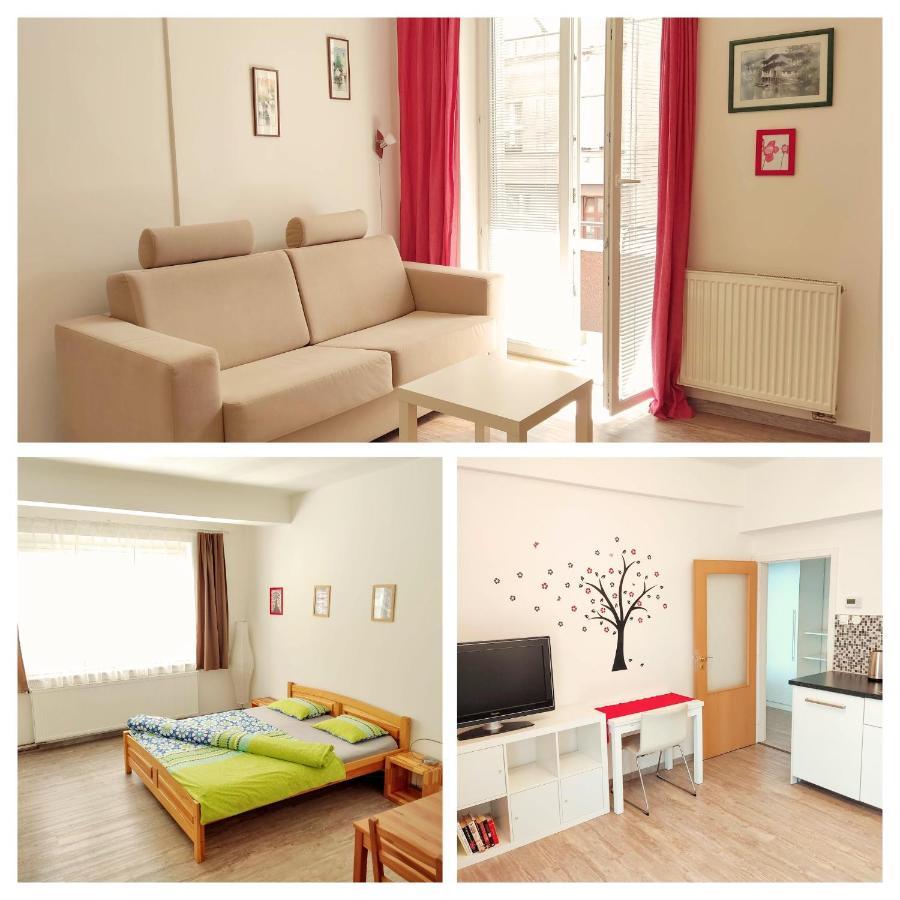 Zizkov Apartmán